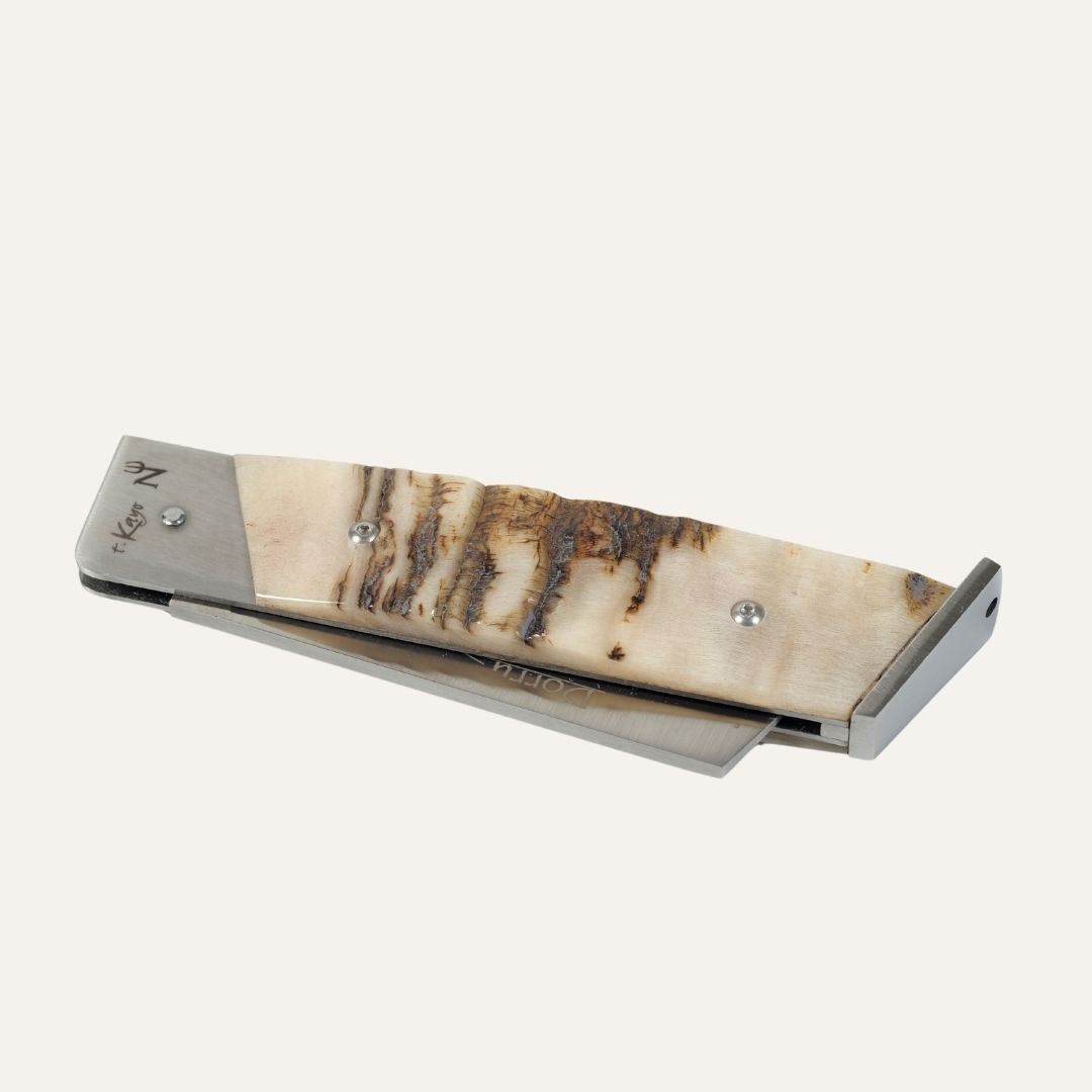 Dorry Knife - Ram's Horn Handle